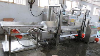 希源T2小麻花油炸生产线 多年信誉铸就食品包装机械信赖之选